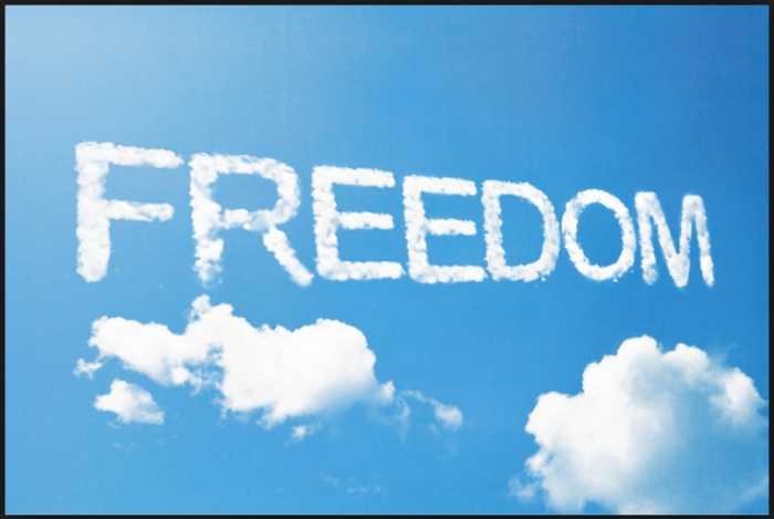 Freedom1